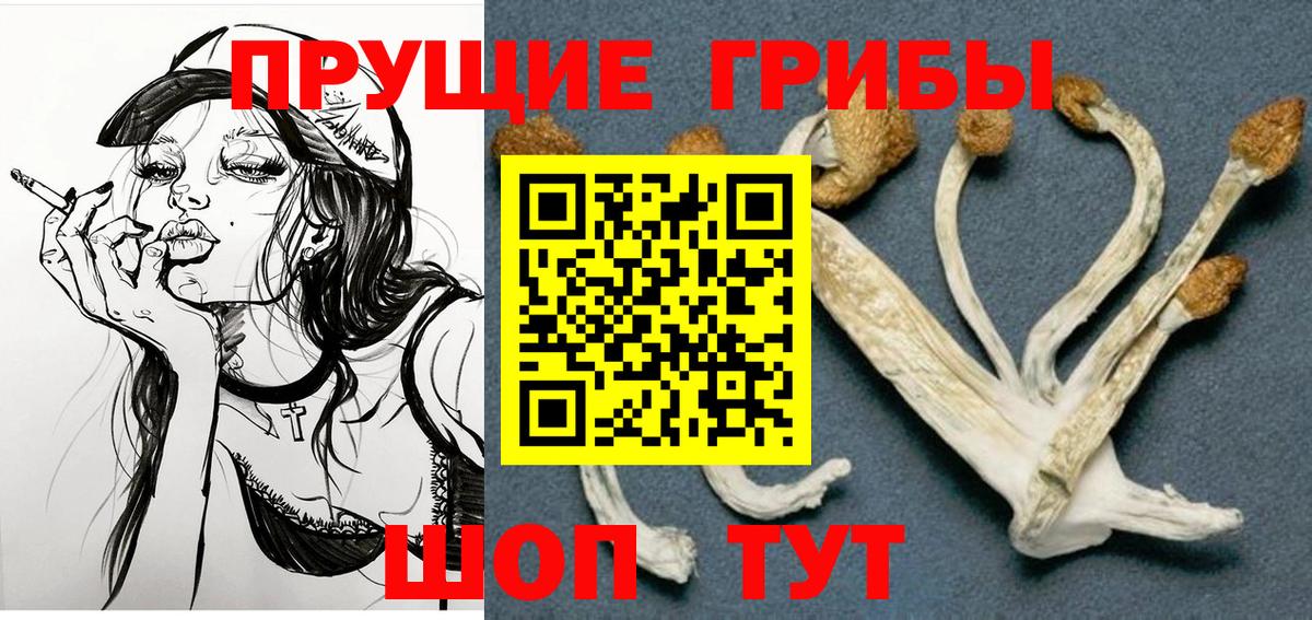 Псилоцибиновые грибы ЛСД  Вход с VPN  Саянск 